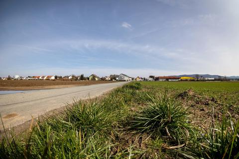 Es grünt im Westen von Pfungstadt. Landwirte haben Ackergras auf Felder gesät, die im Juni 2023 als Ausstellungs- und Parkflächen genutzt werden sollen. Archivfoto: Sascha Lotz