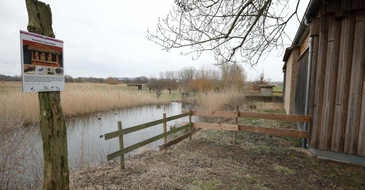 Winterpause am Reinheimer Teich