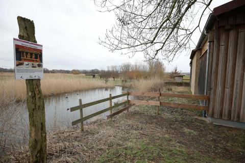Winterpause am Reinheimer Teich