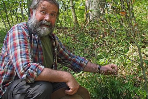 Unterwegs mit Naturschützer Fritz Fornoff gibt es vieles zu entdecken: Hier zupft er an der lila blühenden Zwiebeltragenden Zahnwurz, die gern in der Nähe von Buchen wächst. Foto: Isabel Hahn