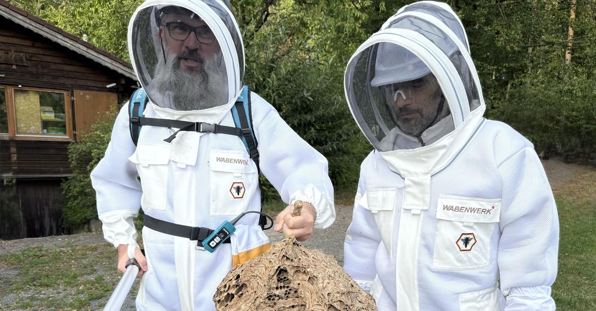 Roßdorf Beekeeping Association: Using a telescopic lance against Asian ...