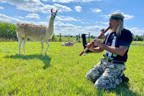 Thomas Draxler spielt seiner neuen Lama-Herde indianische Melodien vor. Hildegard (links) scheinen die Klänge besonders gut zu gefallen.  Foto: Sabine Eisenmann