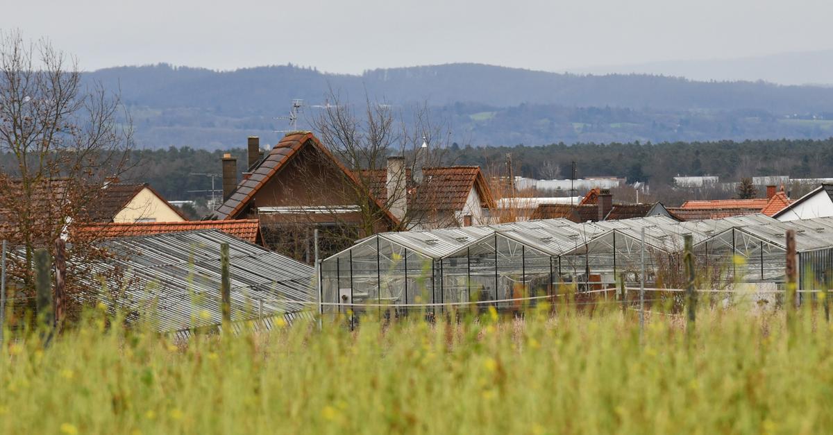 Wachstum mit finanziellen Hindernissen in Schaafheim