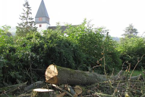 Nahe der Südmauer des Ortskernfriedhofs in Seeheim sind Bäume gefällt worden. Foto: Jürgen Buxmann