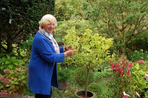 Marianne Bimczok aus Seeheim wird für ihren naturnahen Garten ausgezeichnet. Foto: Gemeinde Seeheim-Jugenheim