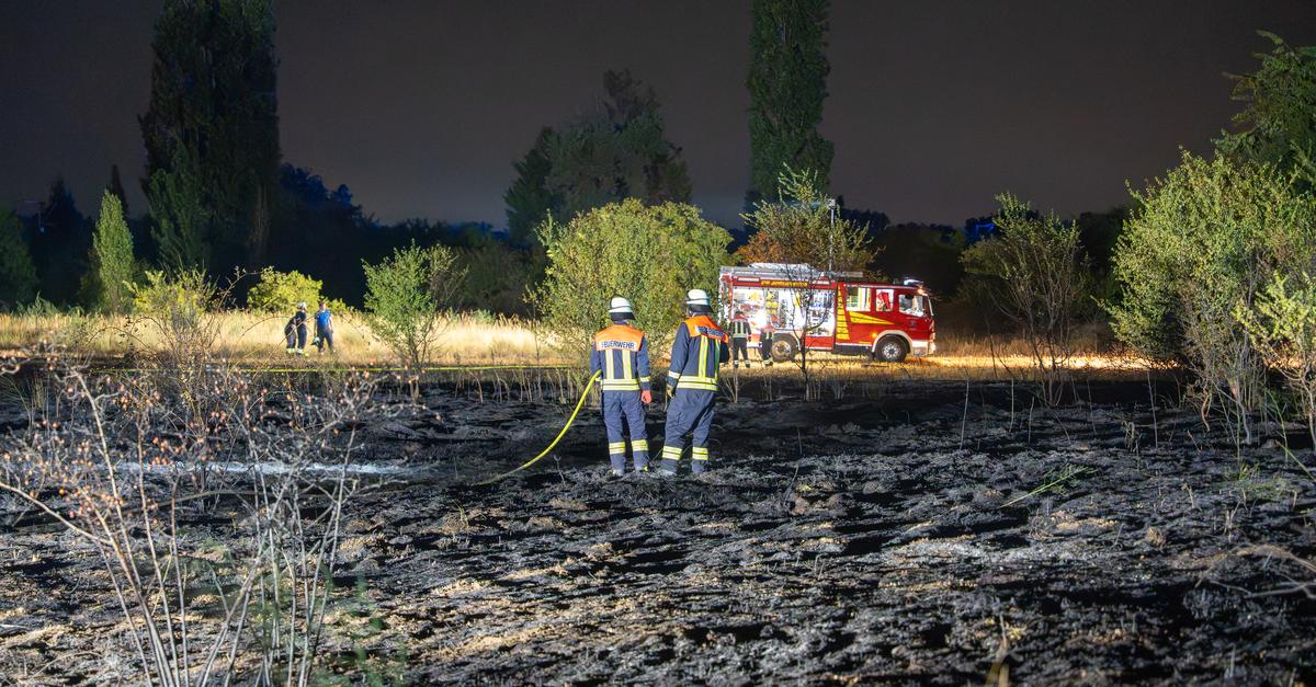 Brand in Darmstadt-Dieburg: 28.000 Quadratmeter Feld betroffen