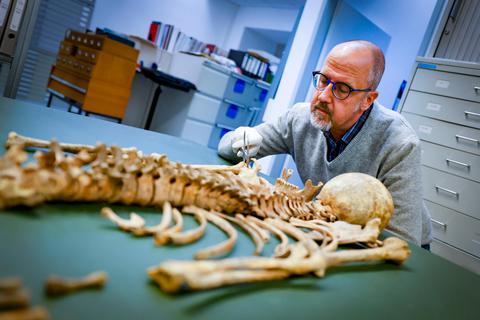 Bezirksarchäologe Thomas Becker hat die Knochen des Tannenberg-Skeletts untersucht. Eine DNA-Probe soll weitere Erkenntnisse liefern. Archivfoto: Sascha Kopp 