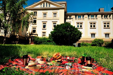 Zu einem kostenlosen Picknick im Park lädt das Stadtheater Gießen am 27. Juni ein, bei dem ein Programm mit Beiträgen aus allen Sparten des Hauses geboten wird. Für die Verpflegung muss allerdings selbst gesorgt werden. Foto: Stadttheater 