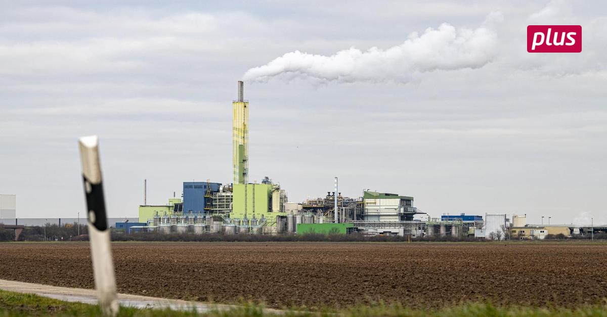 Seit Herbst keine Vorfälle bei Biebesheimer HIM | Echo Online