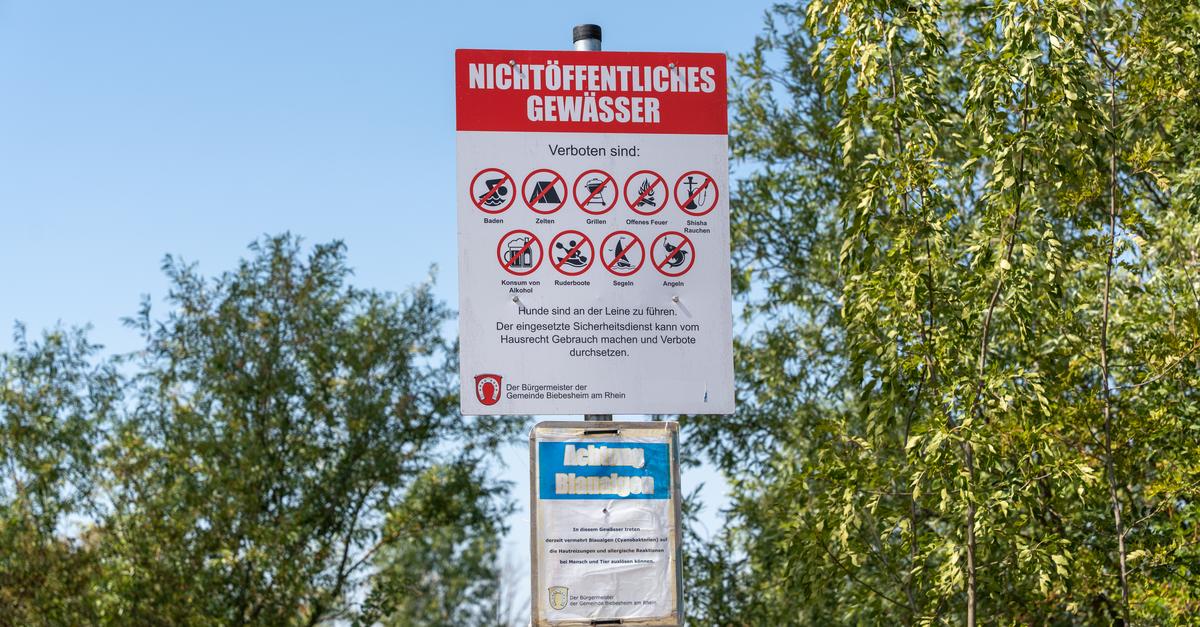 Rettungskräfte bergen Leiche aus dem Wechselsee