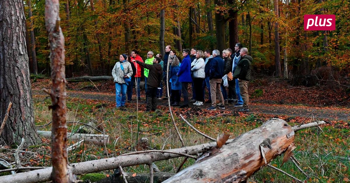 Bestandsaufnahme im Bischofsheimer Forst