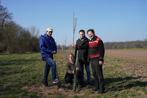 Harald Lutz, Ilka Linke, Daniel Kroiß und Thorsten Petri haben auf dem neuen Grundstück Obstbäume gepflanzt – hier die fast aus der Gemarkung verschwundene Betzelbirne. Foto: Marc Schüler
