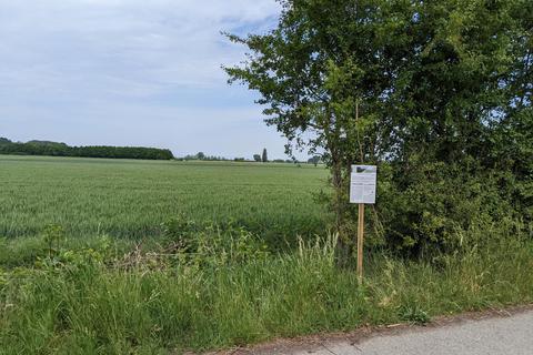 Transparenz über die Arbeit des LPV geben zum Beispiel Schilder über die ökologische Heckenpflege, die etwa auch in Riedstadt und Trebur aufgestellt wurden. © LPV Kreis Groß-Gerau