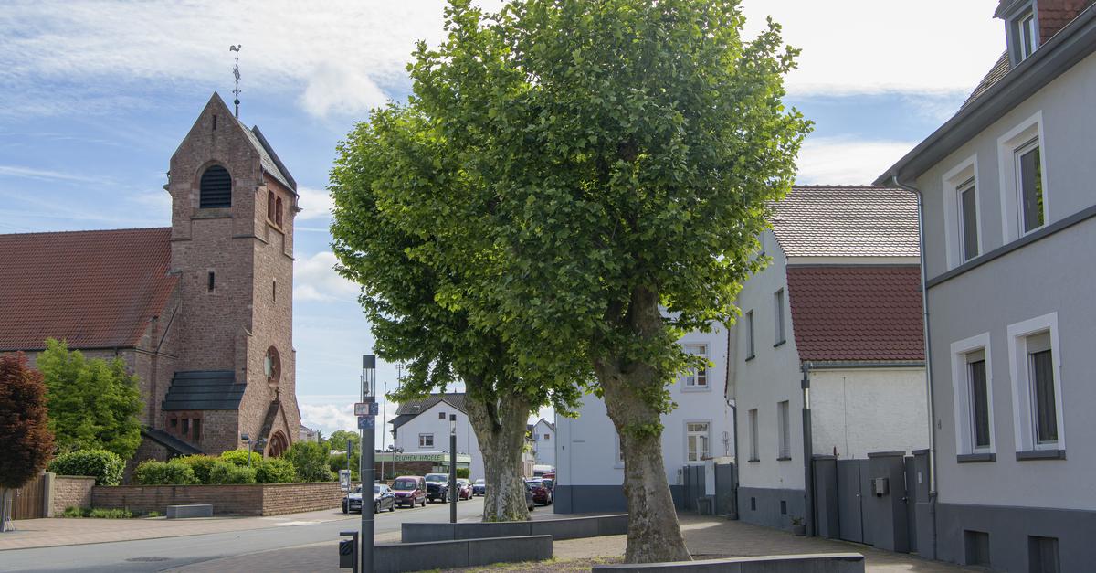 Gernsheim: Hitzeaktionsplan schützt Bürger durch mehr Schatten und ...