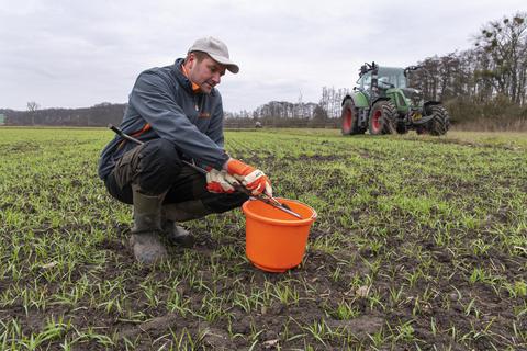 Die Düngeverordnung treibt Landwirte nach wie vor um. Sebastian Schaffner vom Erlenhof in Wolfskehlen nimmt Bodenproben auf einem Feld mit Sommergerste. Ein Labor ermittelt dann den Düngebedarf für das Frühjahr. Foto: Vollformat/Robert Heiler