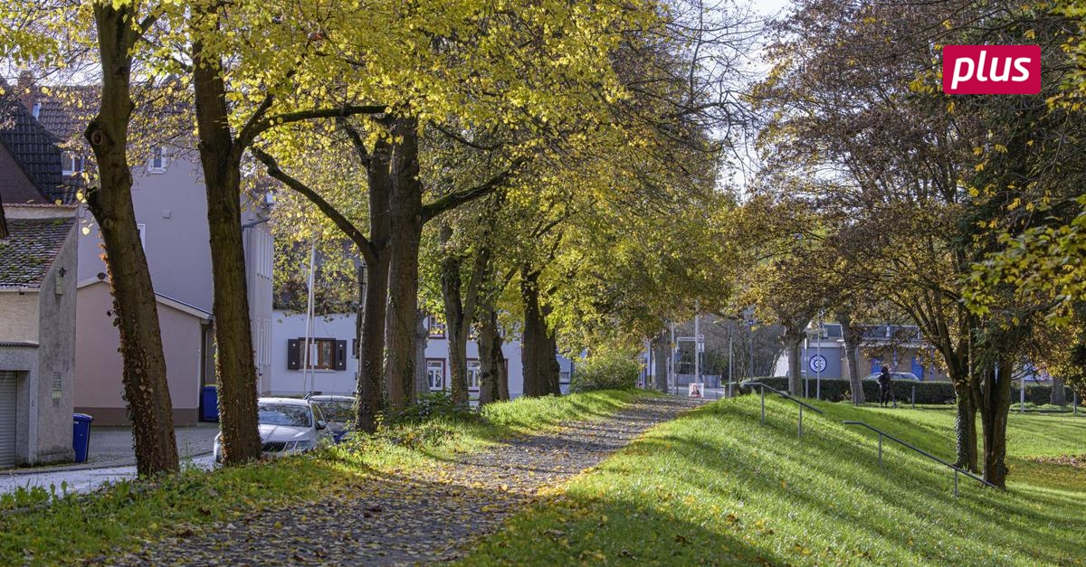 Drei Förderbescheide für die Stadt Gernsheim