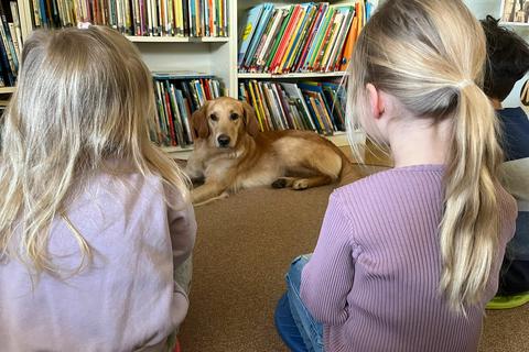 Vor allem in kleinen Gruppen dürfen die Kinder mit Wilma bereits interagieren. Bald beginnt die Hündin ihre Ausbildung als Begleithund.       