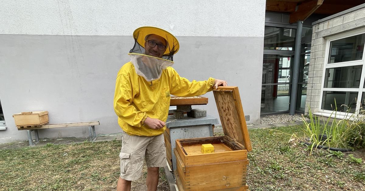 Bienenprojekt in der Prälat-Diehl-Schule in Groß-Gerau wirkt positiv auf ...