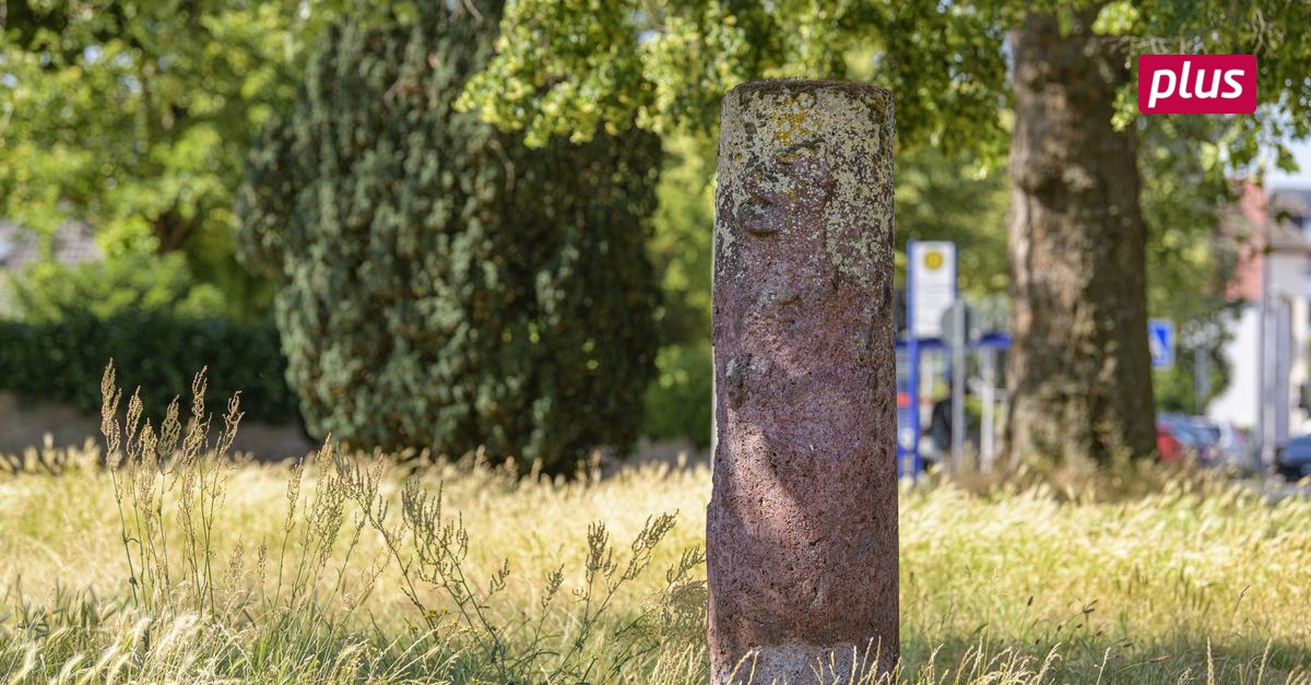 Fabelhafte Steitz Gross Gerau Ebenbild
