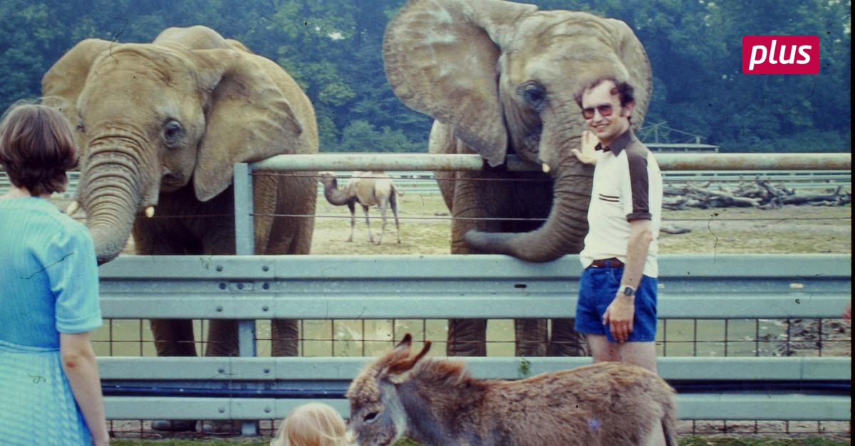 Wie ein Sonntag im Safariland GroßGerau aussah