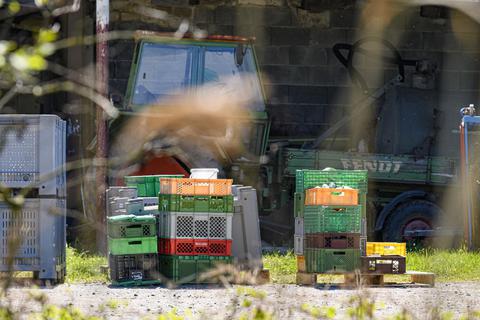 Nach dem Lebensmittelskandal beim Allmendfelder „Maus Obst + Gemüse“-Betrieb sollen die Versäumnisse im Veterinäramt des Kreises Groß-Gerau intern aufgeklärt werden. Foto: Robert Heiler