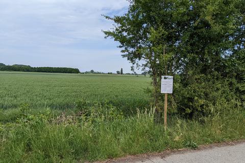 Transparenz über die Arbeit des LPV geben zum Beispiel Schilder über die ökologische Heckenpflege, die zum Beispiel in Riedstadt und Trebur aufgestellt wurden. 