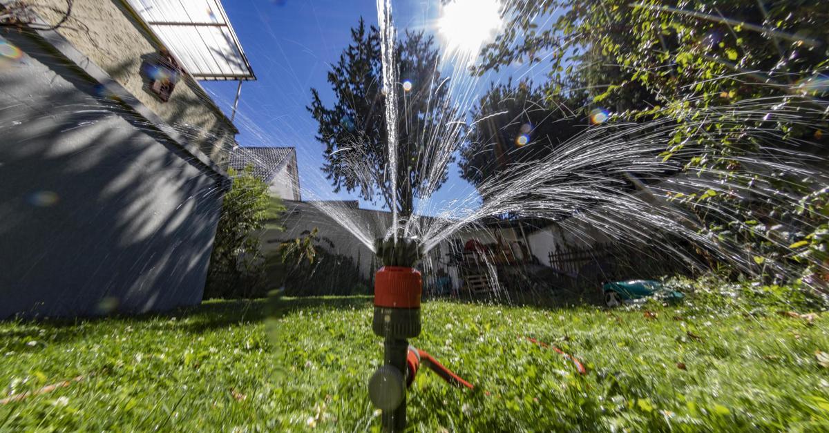 Kreis GroßGerau Wassersparen als Gebot für Gärtner