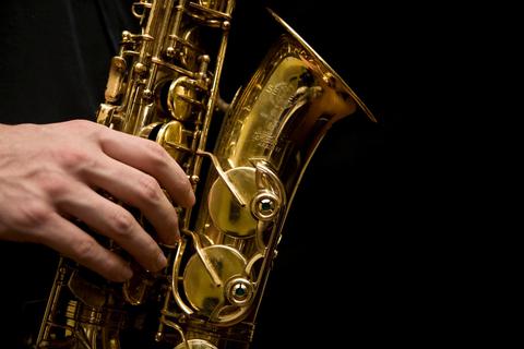 Wer Saxofon oder ein anderes Instrument lernen will, hat in der Musikschule Gelegenheit. © Wolfgang Diederich