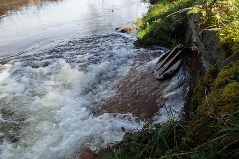 Das Grundwasser Nauheims wird derzeit – und vermutlich auch künftig noch länger – in den Schwarzbach gepumpt.