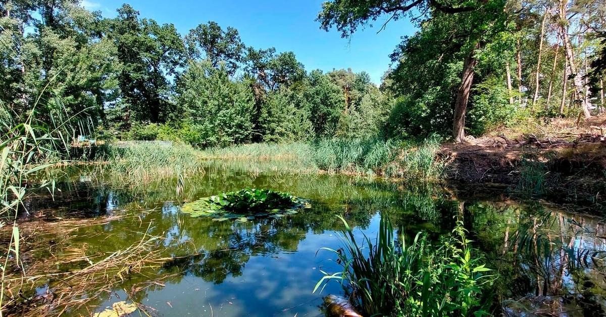 Wie Raunheim künftig mit Wasser umgehen will