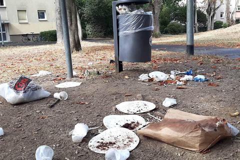 Dass der Müll nicht in der Tonne liegt, sondern drumherum oder im Gelände, ist in den vergangenen Monaten in Raunheim häufiger zu beobachten gewesen. Foto: Michael Kapp