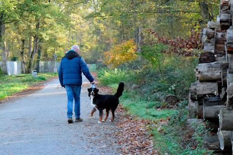 Wer seinen Hund frei laufen lassen möchte, wird dies in Raunheim wohl auch weiter mit dem Risiko tun, dass das Tier anderen Verkehrsteilnehmern ins Gehege kommt. Foto: Michael Kapp 