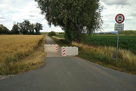 Mit solchen Pollern soll die Zufahrt zum Kiesloch bei Crumstadt gesperrt werden. Foto: Stadt Riedstadt