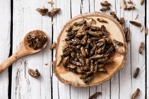 In Europa sind Insekten im Essen immer noch eine Seltenheit. Jetzt sind in der EU neben Mehlwürmern und Heuschrecken auch Grillen und Larven des Getreideschimmelkäfers als Lebensmittel zugelassen.