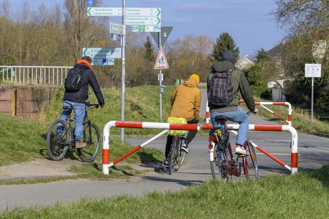 Kritisch ist die Situation am Stockstädter Rheintor, wo sich Radfahrer mühsam an den Schranken vorbeiwinden oder diese gleich umfahren. Foto: Robert Heiler