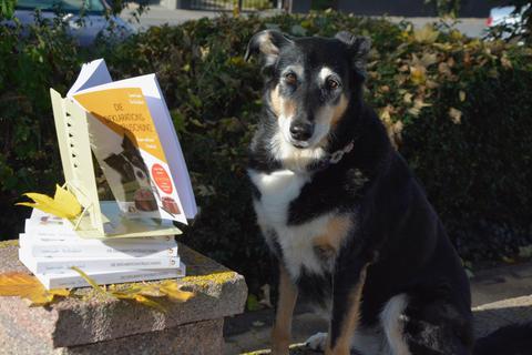 Das neue Buch nimmt Nassfutter genau unter die Lupe und stellt fest, dass es manches gar nicht mehr gibt. © Alona Knobloch