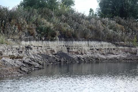 Uferschwalben haben sich am Nordufer der Kiesgrube Dyckerhoff angesiedelt. Foto: Vollformat/Möllenberg, Archivfoto: Wellinghoff