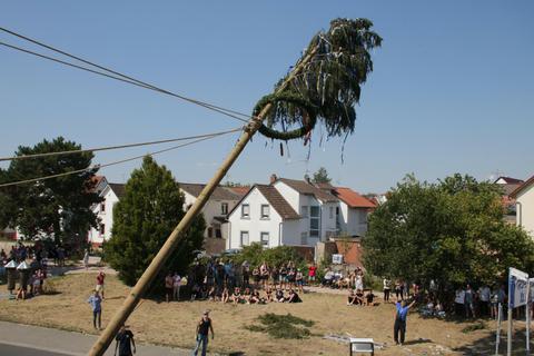 Vom 11. bis 21. August wird die Treburer Kerb gefeiert. Der Baum (das Foto zeigt das Baumstellen aus einem der vergangenen Jahre) wird am 12. August ab 15 Uhr aufgestellt. Archivfoto: Ralph Keim