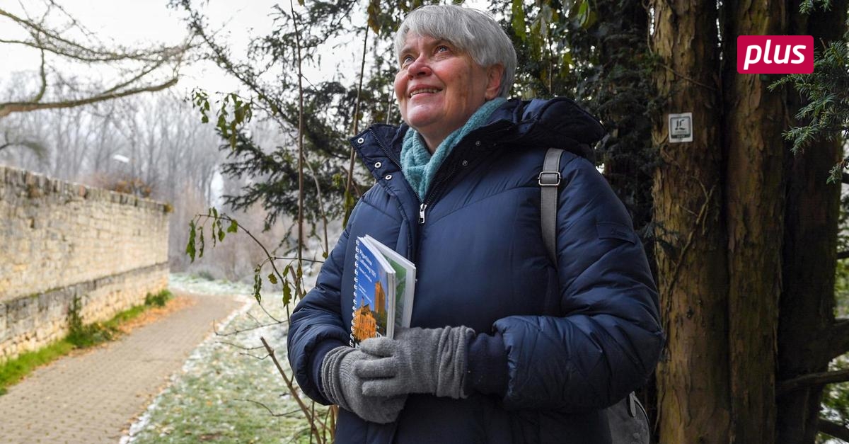 Trebur: Andrea Erdmann begleitet Pilgerer auf dem Lutherweg