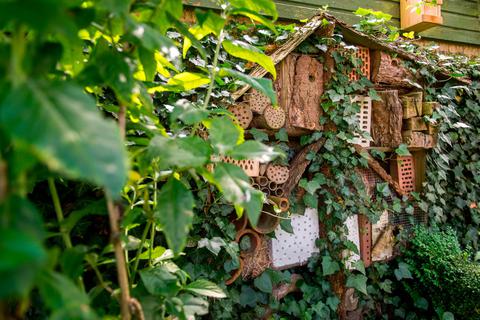 So ein Insektenhotel lockt sicher viele "Mieter" an und kann Teil eines naturnahen Gartens sein.  Symbolfoto: Benjamin Nolte/dpa 