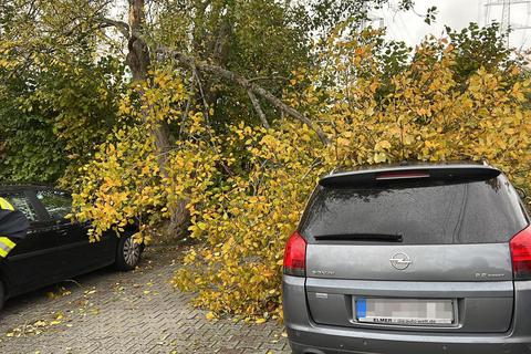 Ein Baum fiel auf ein Auto in Niedernhausen, von größeren Schäden blieb der Besitzer aber verschont. Foto: Feuerwehr Niedernhausen