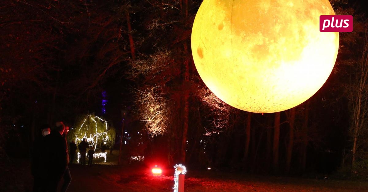 Christmas Lights verzaubern den Kurpark in Bad König