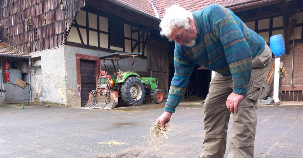 Odenwald: Wie Landwirt Peter Hübner mit Schwalben im Hof lebt