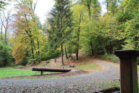 Großen Wert legen die Brensbacher Gemeindevertreter auf Nachhaltigkeit bei der Bewirtschaftung des Kommunalwaldes und auf seine Erholungsfunktion. Hier ein Bild vom mitten im Wald gelegenen „Brünnchen“. © Kirsten Sundermann