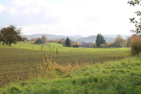 Derzeit teilweise noch Fläche für die Landwirtschaft: Im Norden von Brensbachs Gemarkungsgrenze soll – in Kooperation mit der Nachbargemeinde Fränkisch-Crumbach – der interkommunale Gewerbepark Gersprenztal entstehen.