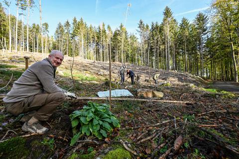 Auch Bürgermeister Eric Engels nahm sich einen Tag Urlaub, um bei dieser Aktion in der Gemarkung Fränkisch-Crumbach als freiwilliger Helfer Bäume zu pflanzen. © Dirk Zengel