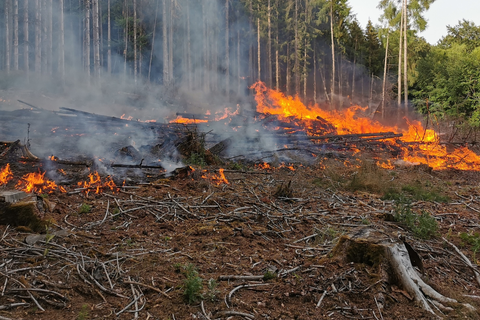 Immer wieder werden die Einsatzkräfte der Gemeinde Höchst zu brennenden Waldflächen gerufen. Bisher konnten alle Feuer schnell gelöscht werden.  Foto: Feuerwehr Höchst