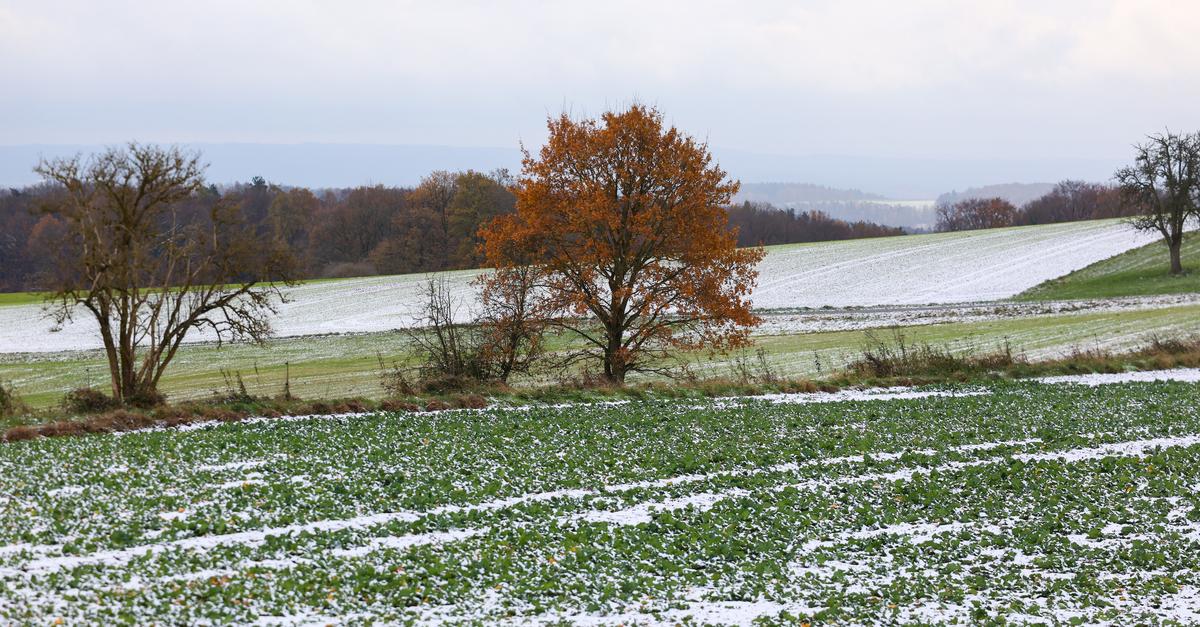 Super-El Niño: Wie viel Pazifik steckt in Südhessens Winter?