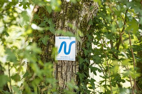 Ein blaues, geschwungenes N ist das Markierungszeichen für den Neckarsteig. Foto: Barbara Wagner, Touristikgemeinschaft Odenwald