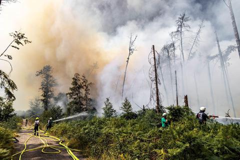 Feuerwehr-Einsatz über Kreisgrenzen hinaus: Sogenannte Großschadenslagen wie hier im August, als auf dem ehemaligen Militärgelände bei Münster  der Wald brannte und auch Odenwälder Feuerwehren anrückten, sind oft nur im Zusammenspiel mehrerer Einsatzabteilungen zu bewältigen. Auch um solche Herausforderungen geht es bei der Brandschutz-Planung des Odenwaldkreises. Archivfoto: dpa